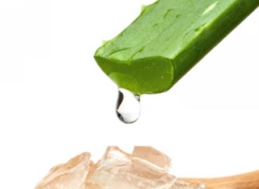 5 Lợi Ích Tuyệt Vời Của Nha Đam Đối Với Sức Khỏe và Sắc Đẹp (kèm bằng chứng khoa học)
