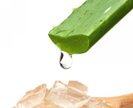 5 Lợi Ích Tuyệt Vời Của Nha Đam Đối Với Sức Khỏe và Sắc Đẹp (kèm bằng chứng khoa học)