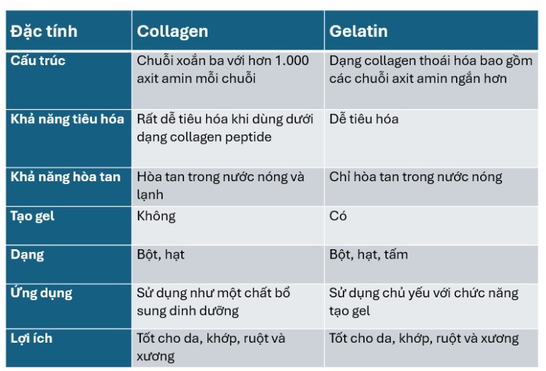 so sánh Collagen và Gelatin