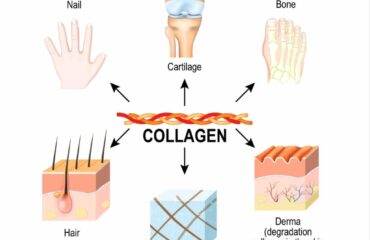 Các sản phẩm thực phẩm bổ sung collagen có thật sự hiệu quả? (kèm bằng chứng khoa học)