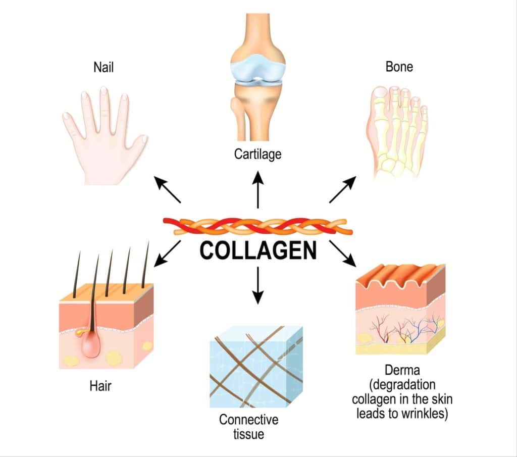 Các sản phẩm thực phẩm bổ sung collagen có thật sự hiệu quả? (kèm bằng chứng khoa học)